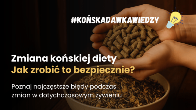 Podstawy żywienia koni: Jak bezpiecznie zmienić dietę koni?