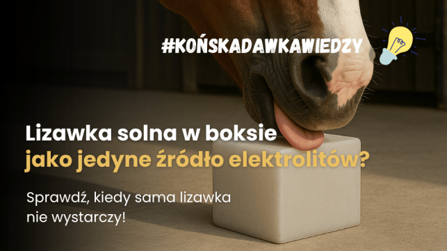 Czy lizawka wystarczy jako jedyny suplement elektrolitów dla koni?