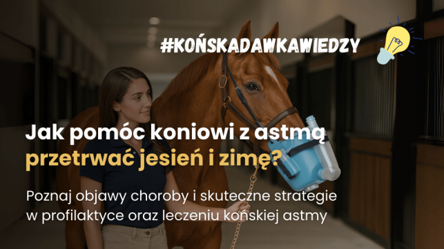 Układ oddechowy koni: Końska astma (dawniej COPD / RAO u koni)