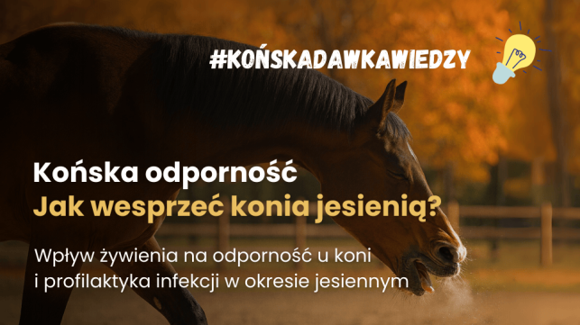 Rola żywienia i ziół we wzmocnieniu odporności u koni jesienią