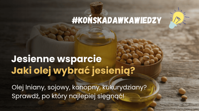 Olej lniany, sojowy, konopny... Jaki olej dla koni wybrać jesienią?