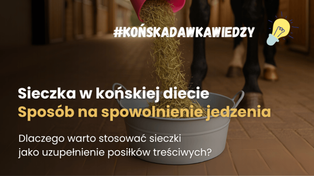 Sieczka dla koni: czy to tylko objętościowy dodatek dla koni wrzodowych?