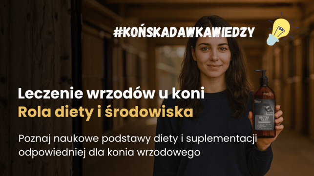 Jak rozpoznać i leczyć wrzody u koni? Żywienie w zapobieganiu wrzodom