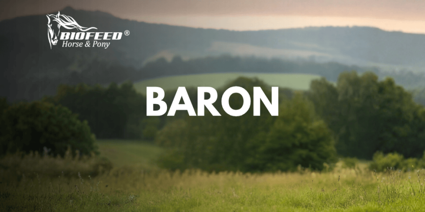 Baron