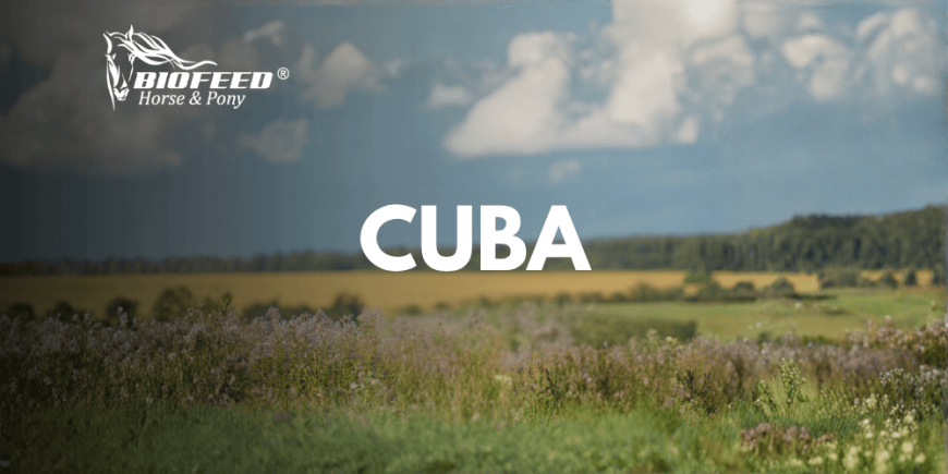 Cuba