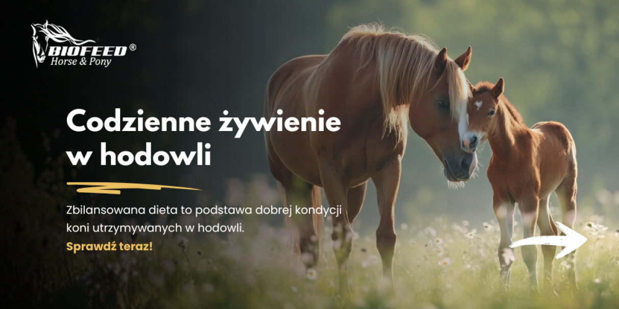 Codzienne żywienie w hodowli