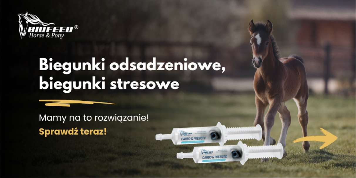Wsparcie dla wrażliwego układu pokarmowego
