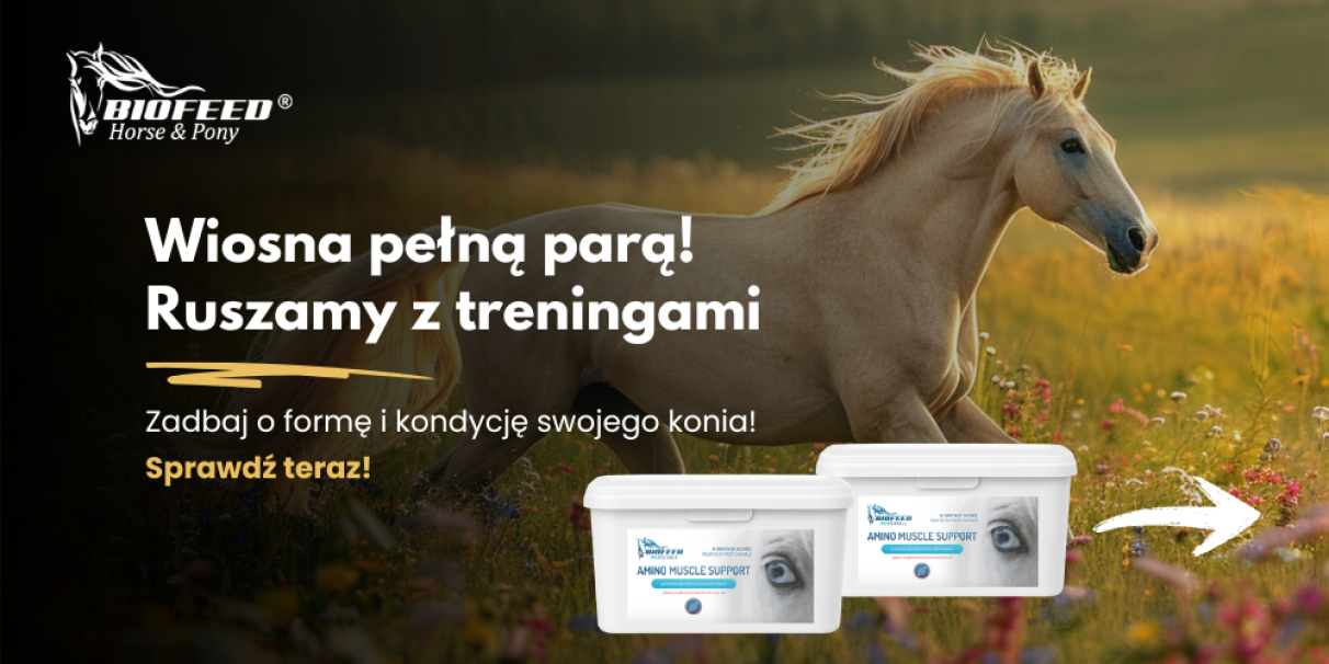 Wiosna pełną parą! Ruszamy z treningami