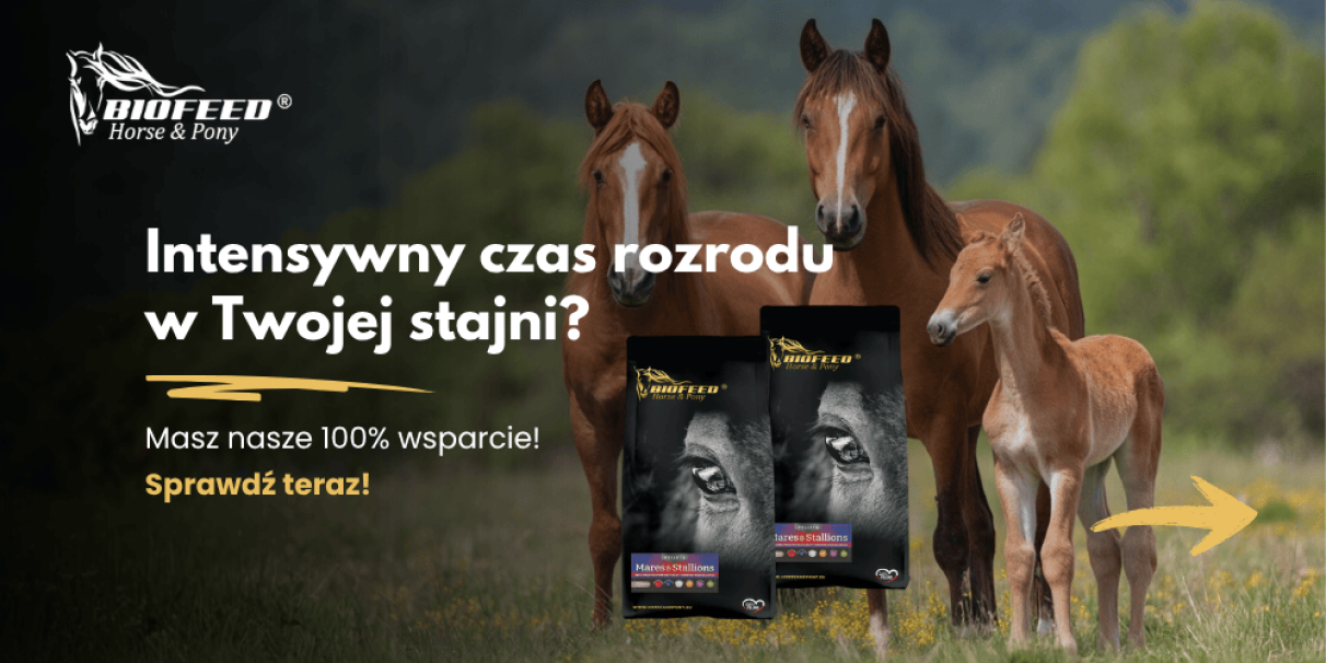 Intensywny czas rozrodu w Twojej stajni?