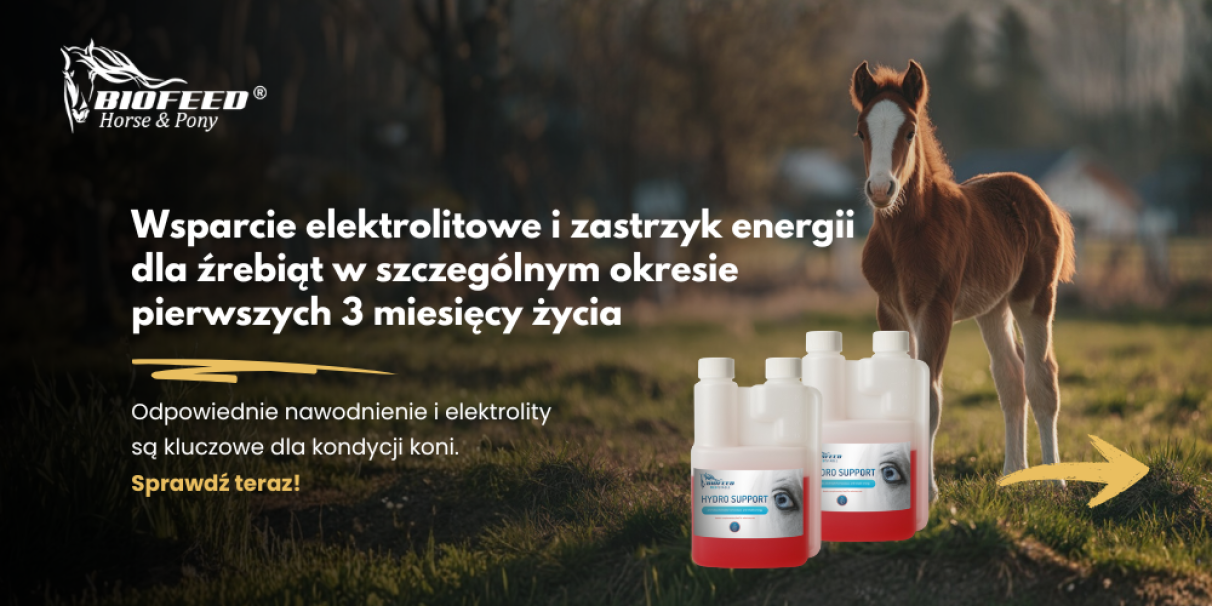 Utrzymanie prawidłowego nawodnienia i elektrolitów podczas wysiłku