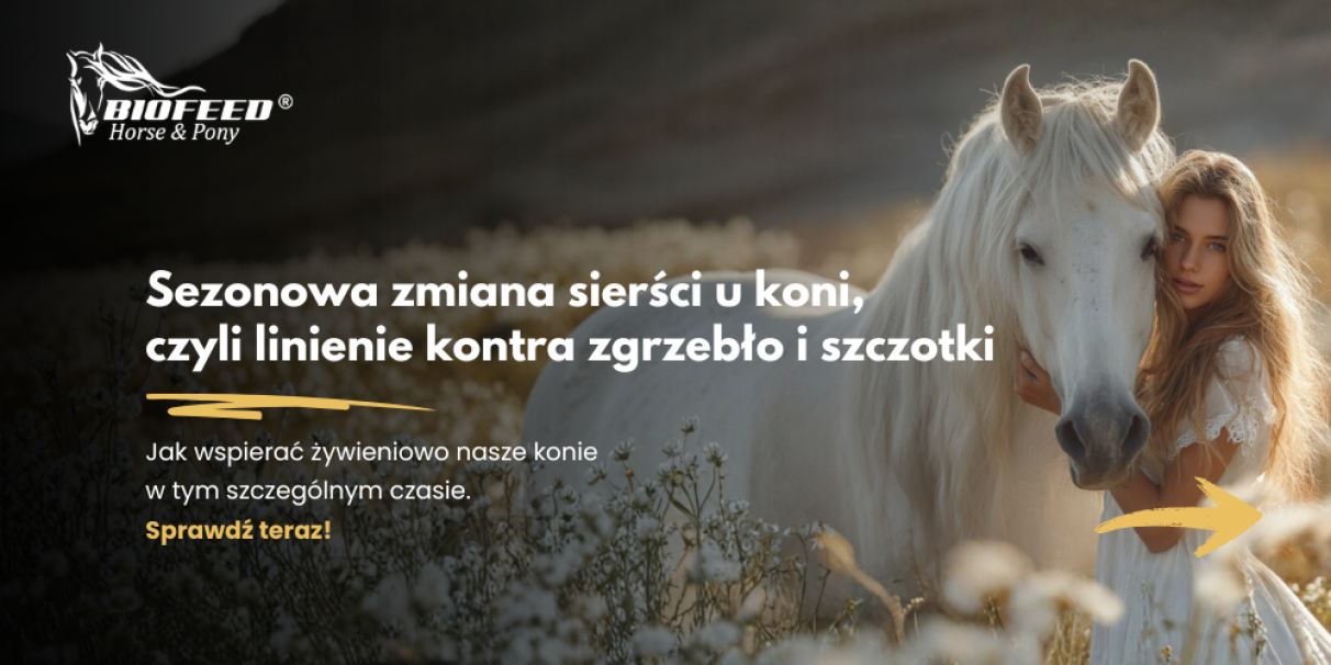 Zdrowa sierść konia w okresie wiosennego linienia