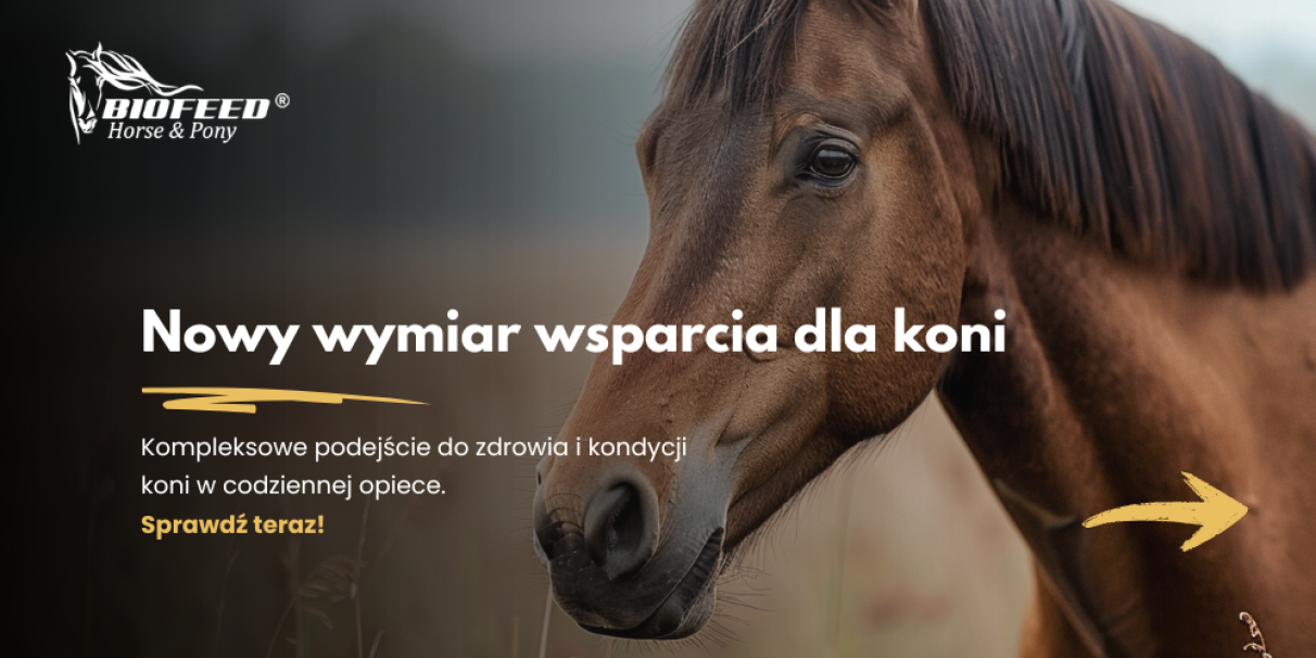 Nowy wymiar wsparcia dla koni