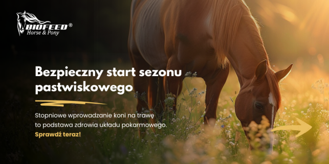 Bezpieczny start sezonu pastwiskowego