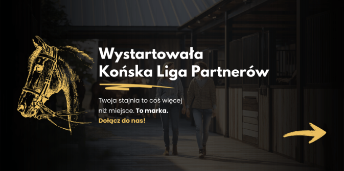 Wystartowała końska liga partnerów!